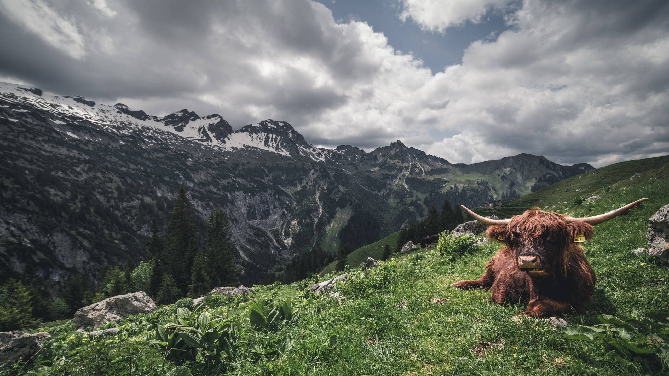 日本队小组出线成功,展望更高目标,日本队出线形势