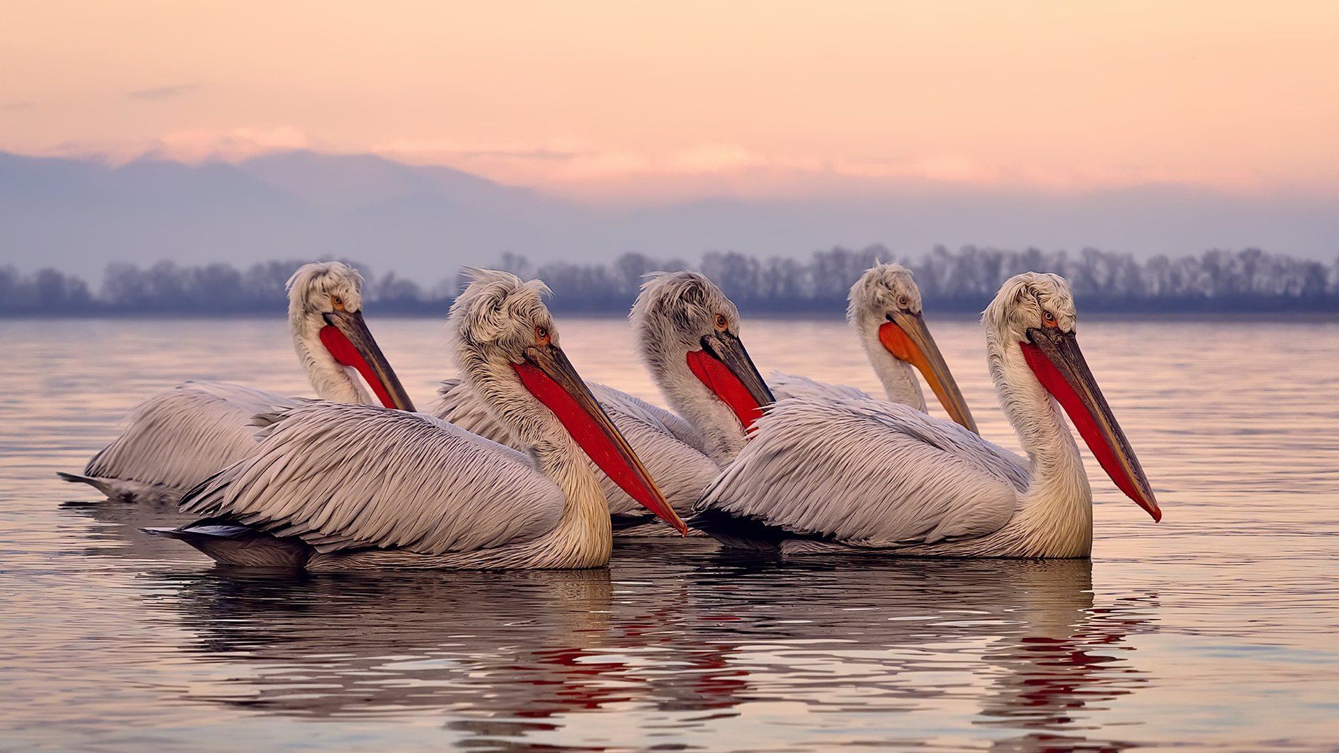 日本队小组出线成功,展望更高目标,日本队出线形势