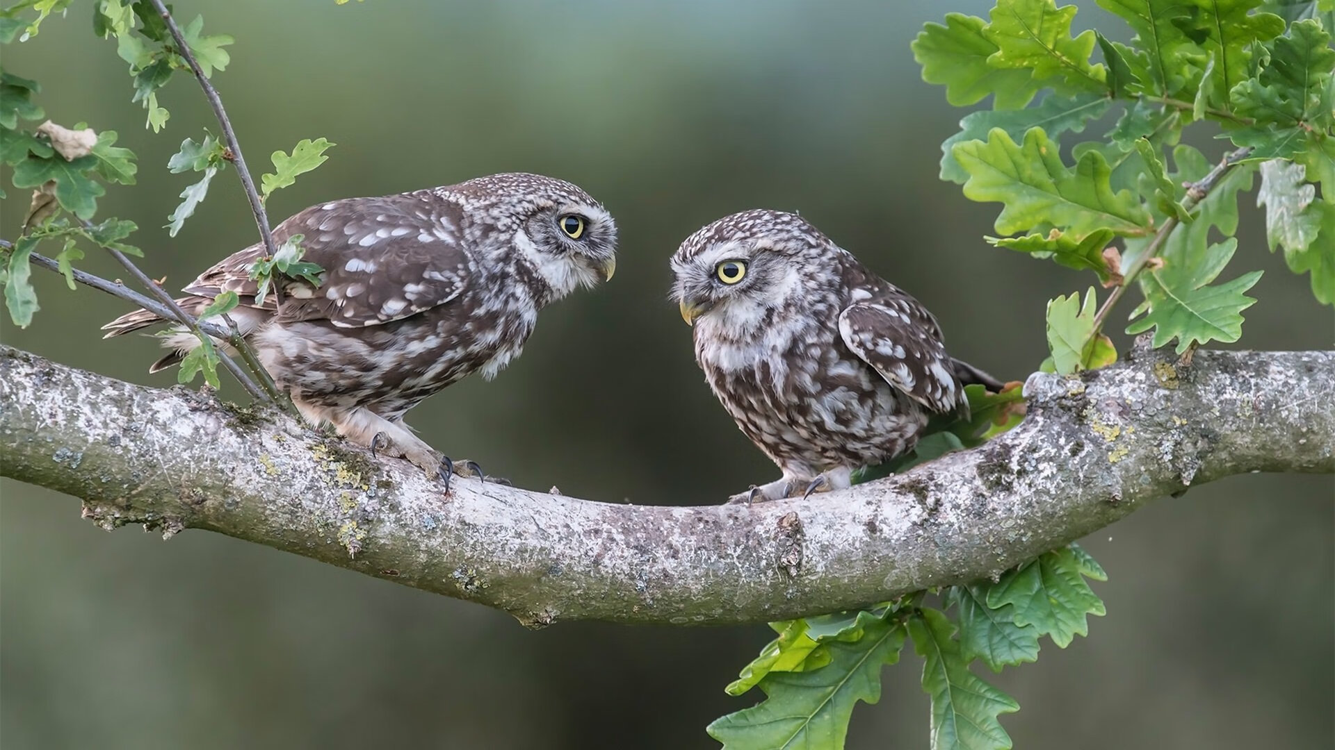 开云体育登陆入口-今年联盟三分排名特辑，哪些队伍最火热？，联盟三分排行榜