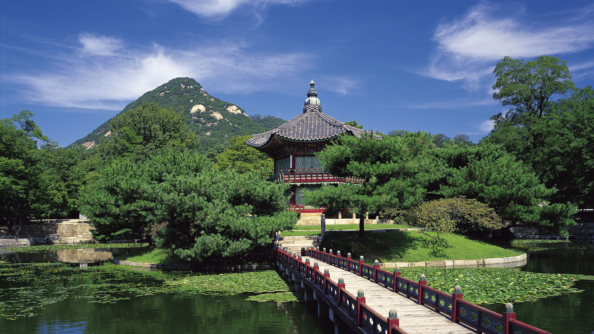 体育精神：那些赞扬与尊重的欧冠瞬间，体育精神值得尊重词语